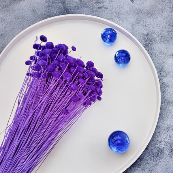 Botao Amarelino - (Amarelinho) - Royal Violet