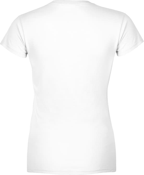 T-SHIRT FLYGPLANSPILOT FLYGTEKNISKT SYSTEM DAMTRYCK