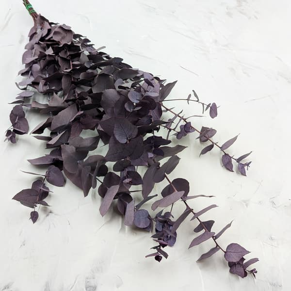 Stabiloitu eukalyptus - Stuartiana - Viileä violetti