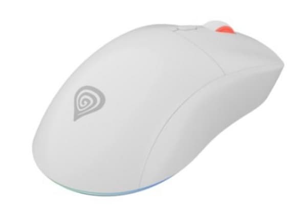 Mus GENESIS Zircon XIII Vit
