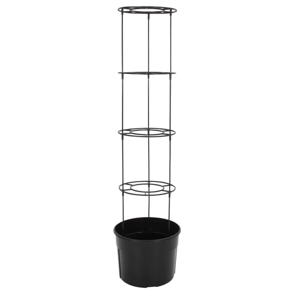 vidaXL Tomatplanter, Antracit, Ø39x150 cm, Polypropylen