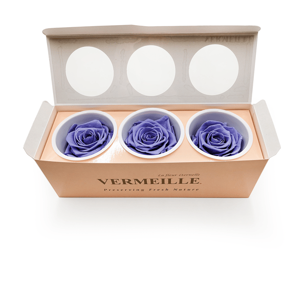 Stabiliseret Rose - Drue - Meget Drue - XL - 3 stk.