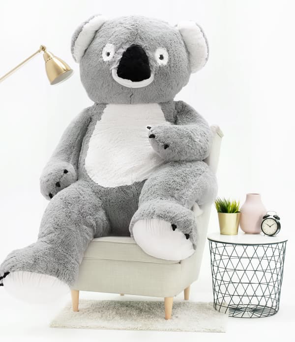 Koala 190 cm