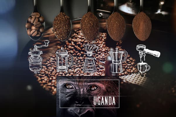 Nyrostade Arabica Uganda kaffebönor 250g