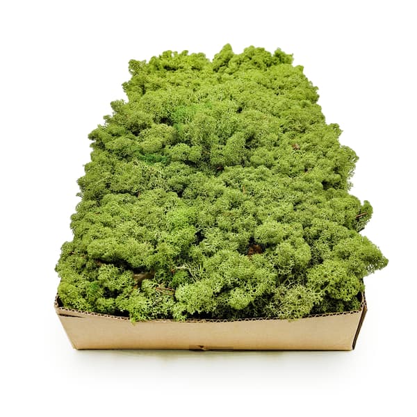 Renmossa - Norge - Mellangrön 250g NETTO