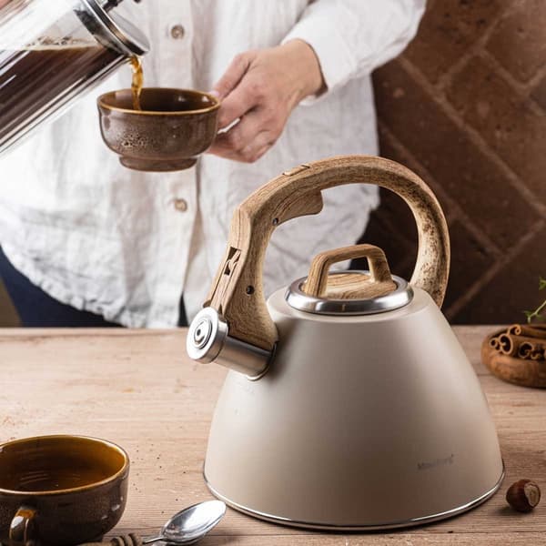 STÅLKEDEL MED FLØJTE 2,5L KLAUSBERG KB-7954
