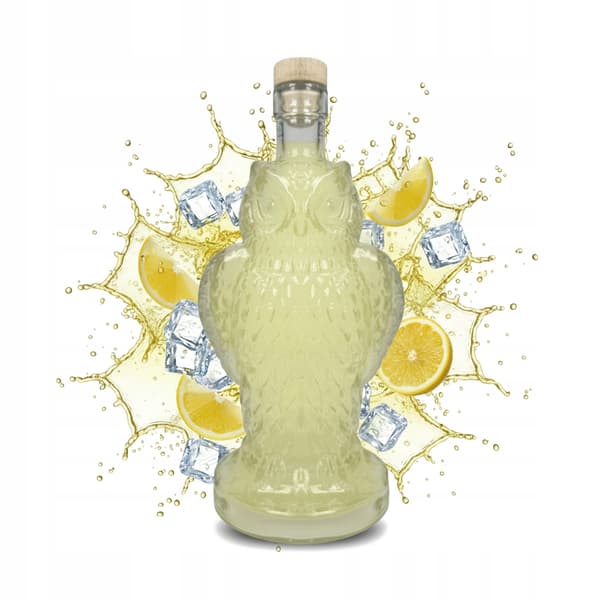 Owl-flaska 500ml glaskaraff för likörer presentlikörvin