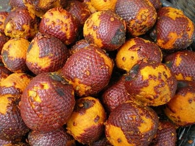 Buriti olie 20 ml uraffineret, CP