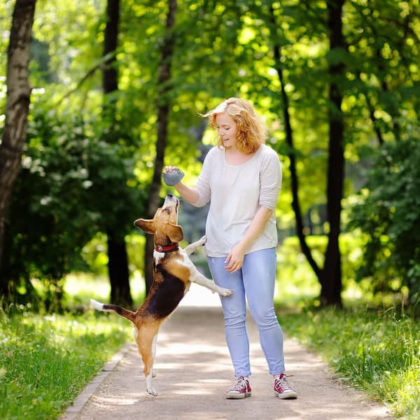 TOOZEY GRÅ UGGLAS TUGGLEKSAK FÖR HUND
