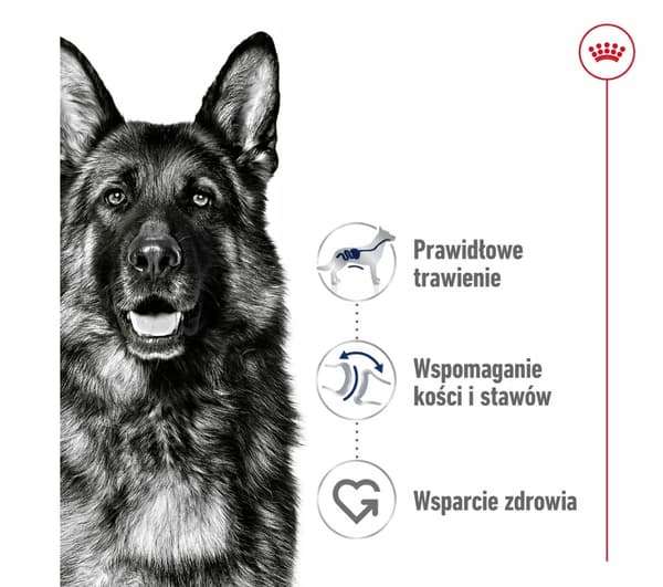 Royal Canin SHN Maxi Adult 4 kg tørfoder til store hunderacer