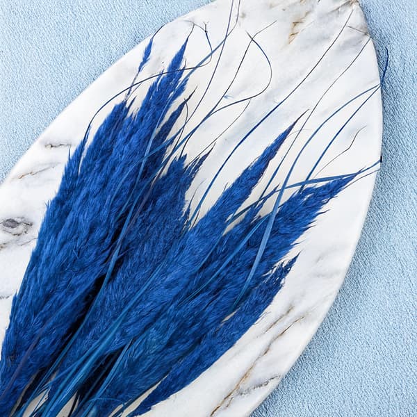 Mini Pampasgräs - Blå - 10 st