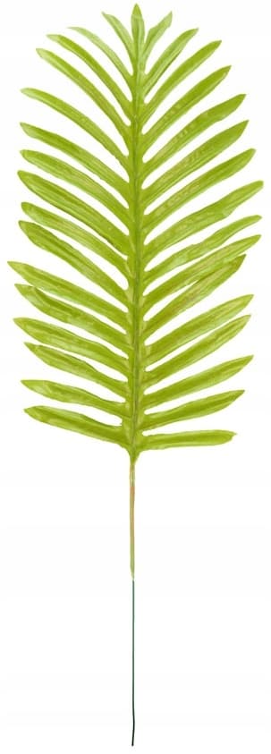 Dekorativ palmkvist, 51 cm, 1-pack.