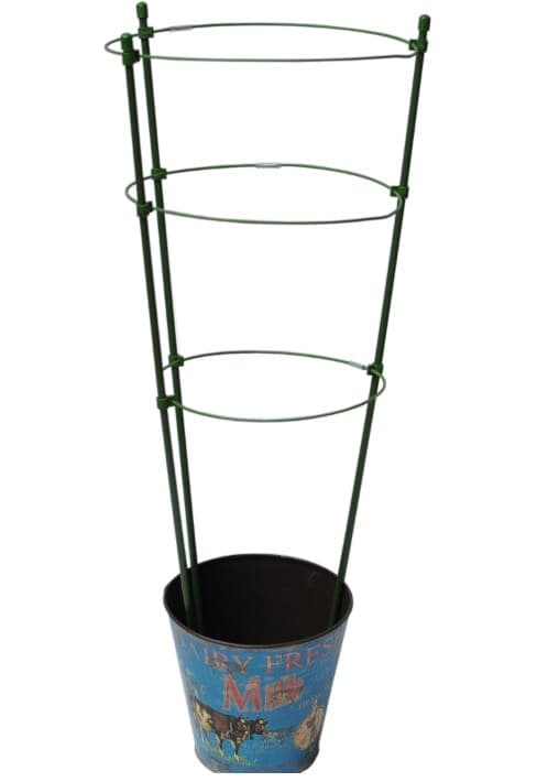 Runt metallstöd 60 cm (för växter)