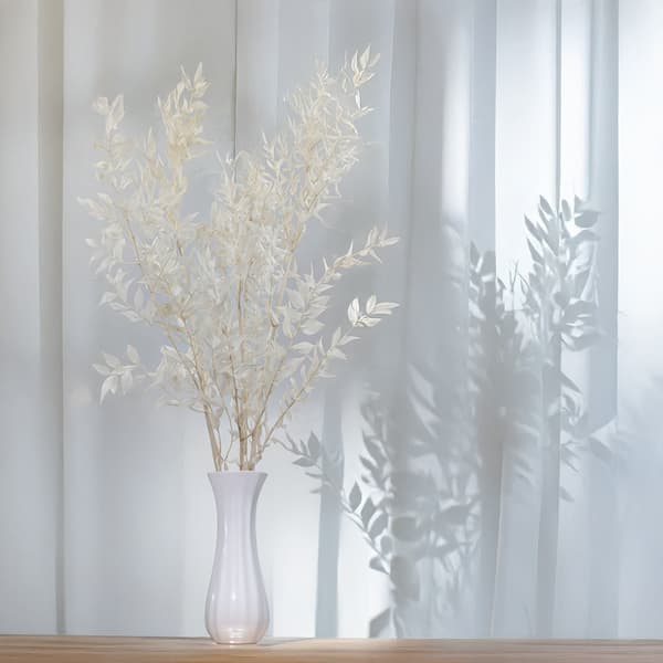 Stabiliseret Ruscus - (Ruscus) - Bleget