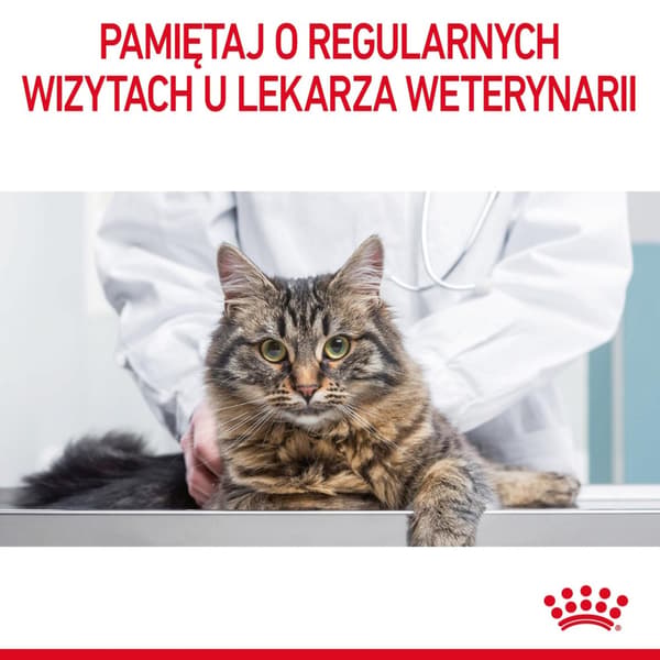 Royal Canin FCN Urinary Care tørfoder til katte 4 kg