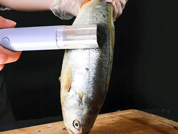 Fiskaaliköynnös 120