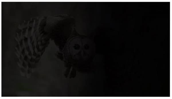 NATEC OWL Sekretessfilter 13,3 tum Mörkgrå