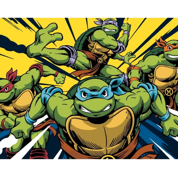 Måla efter siffror Teenage Mutant Ninja Turtles 50x40 cm