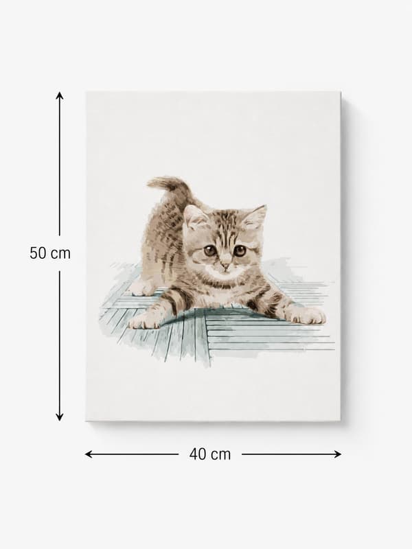 MALING EFTER TAL MED RAMME Billeder til maleri - Klodset kat 40x50 cm