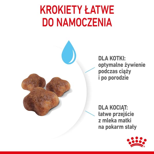 Royal Canin 2 kg torrfoder för katt Mother & Baby