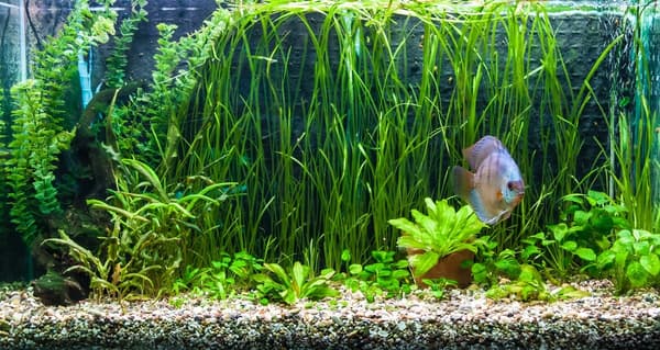 LED-loistelamppu 8520 akvaario 90 cm I
