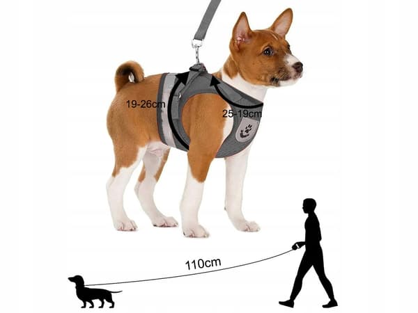 Sele med lina 120 cm XS grå