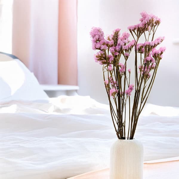 Stabiliserad Limonium sinuatum - Rosa