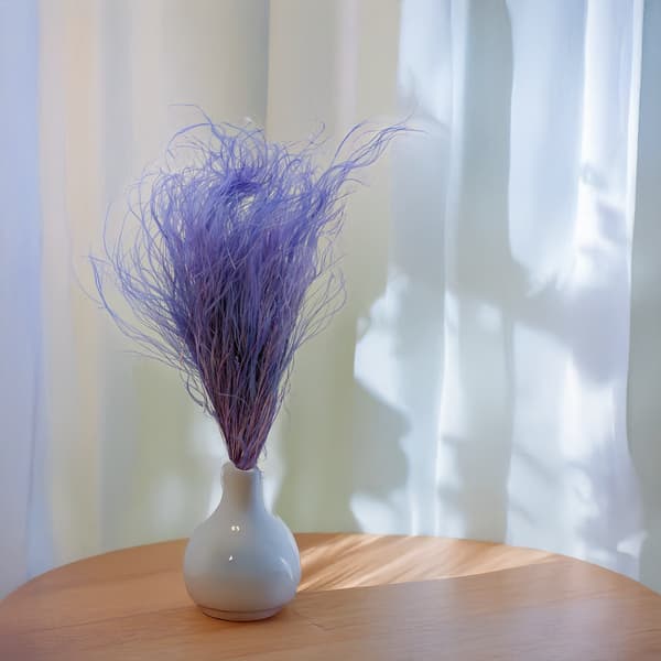 Kuivattu Stipa - Stipa pennata - Laventeli