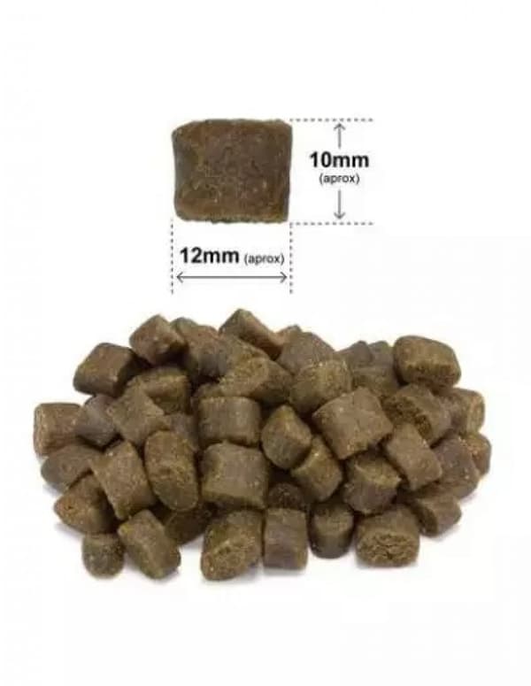Halvfuktigt hundfoder ARQUIVET FRESH lax/kalkon 10 kg