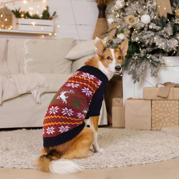 VINTERTRÖJA JULTRÖJA TRÖJA KLÄDER FÖR HUND KATT L