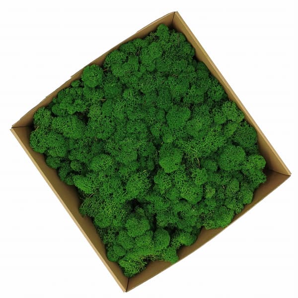 Renmossa - Alpin - Rensad - Grön 50g NETTO
