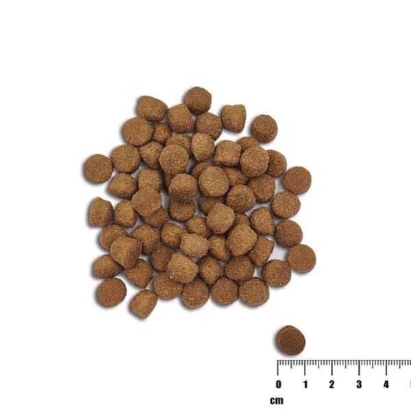 VetExpert Raw Paleo HG Lax torrfoder för hundar 10 kg