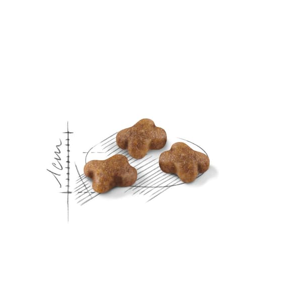 Royal Canin Kitten torrfoder för kattungar 2 kg