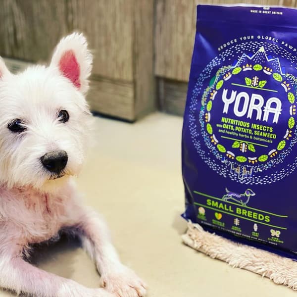 Yora Hund Lille race | Insektfoder 42,5% til hunde af små racer - Insektfoder 42,5% til hunde af små racer 1,5 kg