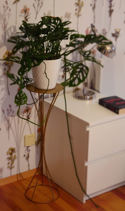 Blomställning 63 SPR svart