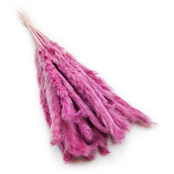 Mini Pampas Græs - Lyng