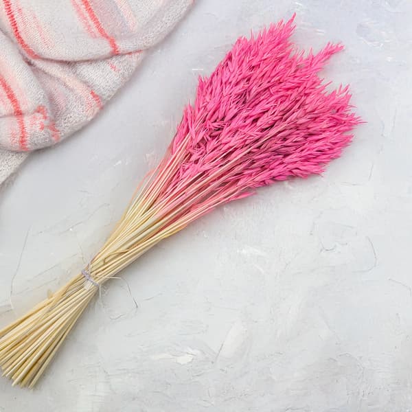 Tørrede havre - Fuchsia