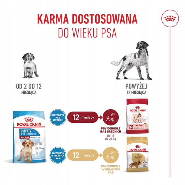 Royal Canin Medium Junior torrfoder för hundar 4 kg