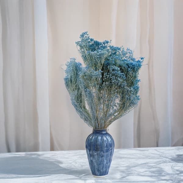 Tørret kostblomst - Kost - Blå