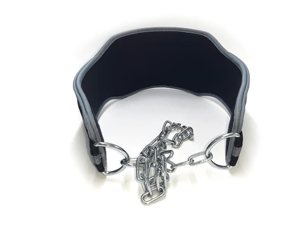 Nylon Dip Belt Bodybuilding Viktbälte