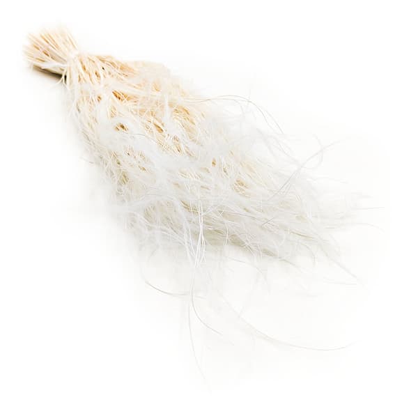 Tørret Stipa - Stipa pennata - Bleget