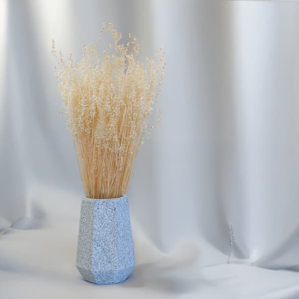 Briza Minima - Tørret Mini - (Briza Minima) - Bleget