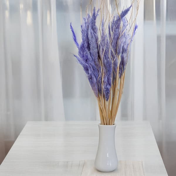 Mini Pampasgræs - Lavendel - 10 stk.