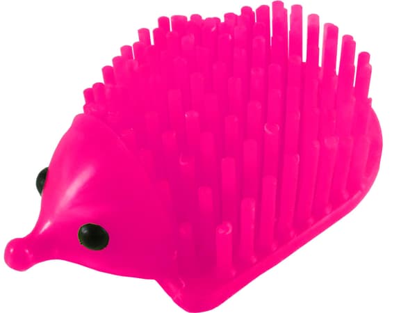 Hedgehog-järjestäjä kynille
