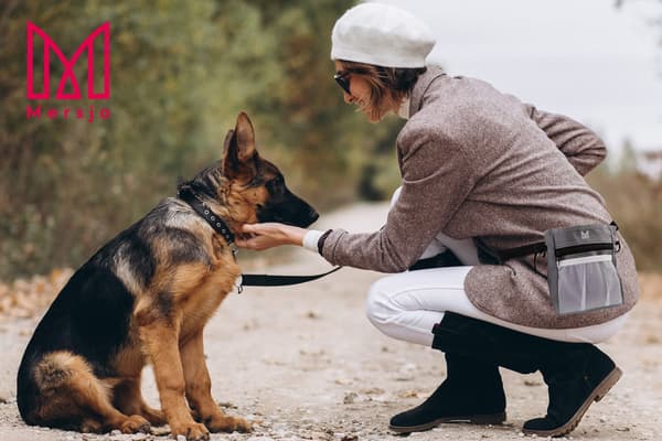 AXEL godbidstaske til hunde