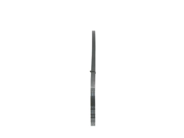 Kiilahihna 1987946130 BOSCH