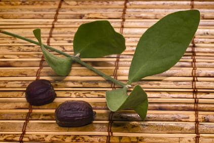 Jojobaolja, kallpressad, oraffinerad 100 ml.
