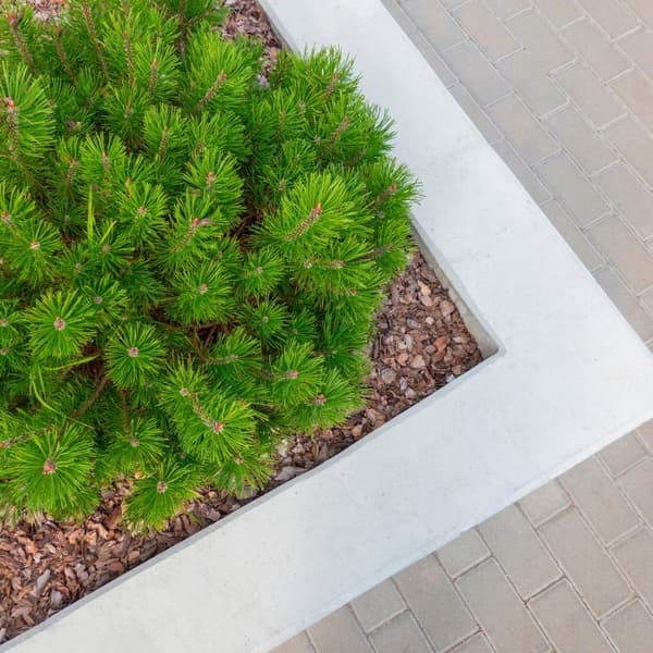 MEDIUM FYRREBARK 80L POLERET HAVEBARK 80L