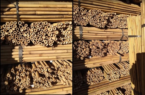 Bambusstænger 75 cm 8/10 mm /25 stk/