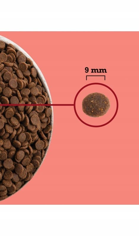 ACANA Highest Protein inomhuskatt 4,5 kg